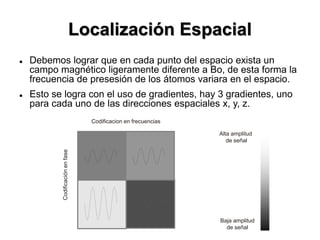 Localización Espacial
 Debemos lograr que en cada punto del espacio exista un
campo magnético ligeramente diferente a Bo, de esta forma la
frecuencia de presesión de los átomos variara en el espacio.
 Esto se logra con el uso de gradientes, hay 3 gradientes, uno
para cada uno de las direcciones espaciales x, y, z.
Codificacion en frecuencias
Codificaciónenfase
Baja amplitud
de señal
Alta amplitud
de señal
 