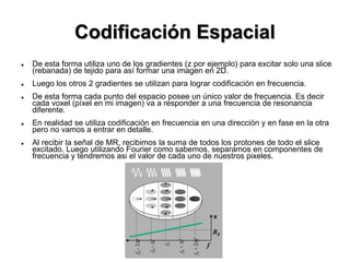 Codificación Espacial
 De esta forma utiliza uno de los gradientes (z por ejemplo) para excitar solo una slice
(rebanada) de tejido para así formar una imagen en 2D.
 Luego los otros 2 gradientes se utilizan para lograr codificación en frecuencia.
 De esta forma cada punto del espacio posee un único valor de frecuencia. Es decir
cada voxel (píxel en mi imagen) va a responder a una frecuencia de resonancia
diferente.
 En realidad se utiliza codificación en frecuencia en una dirección y en fase en la otra
pero no vamos a entrar en detalle.
 Al recibir la señal de MR, recibimos la suma de todos los protones de todo el slice
excitado. Luego utilizando Fourier como sabemos, separamos en componentes de
frecuencia y tendremos asi el valor de cada uno de nuestros pixeles.
f0-2Df
f0-Df
f0
f0+2Df
f0+Df
B0
B
f
 