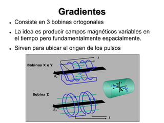 Gradientes
 Consiste en 3 bobinas ortogonales
 La idea es producir campos magnéticos variables en
el tiempo pero fundamentalmente espacialmente.
 Sirven para ubicar el origen de los pulsos
B0
I
B0
I
Bobinas X e Y
Bobina Z
Y
X
 