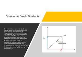 Fundamentos Físicos y Aplicaciones de la Resonancia Magnética en ...