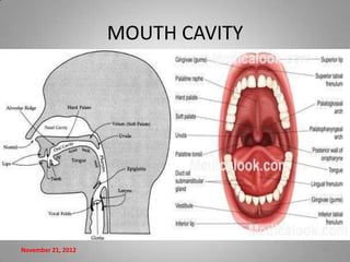 MOUTH CAVITY




November 21, 2012                  13
 