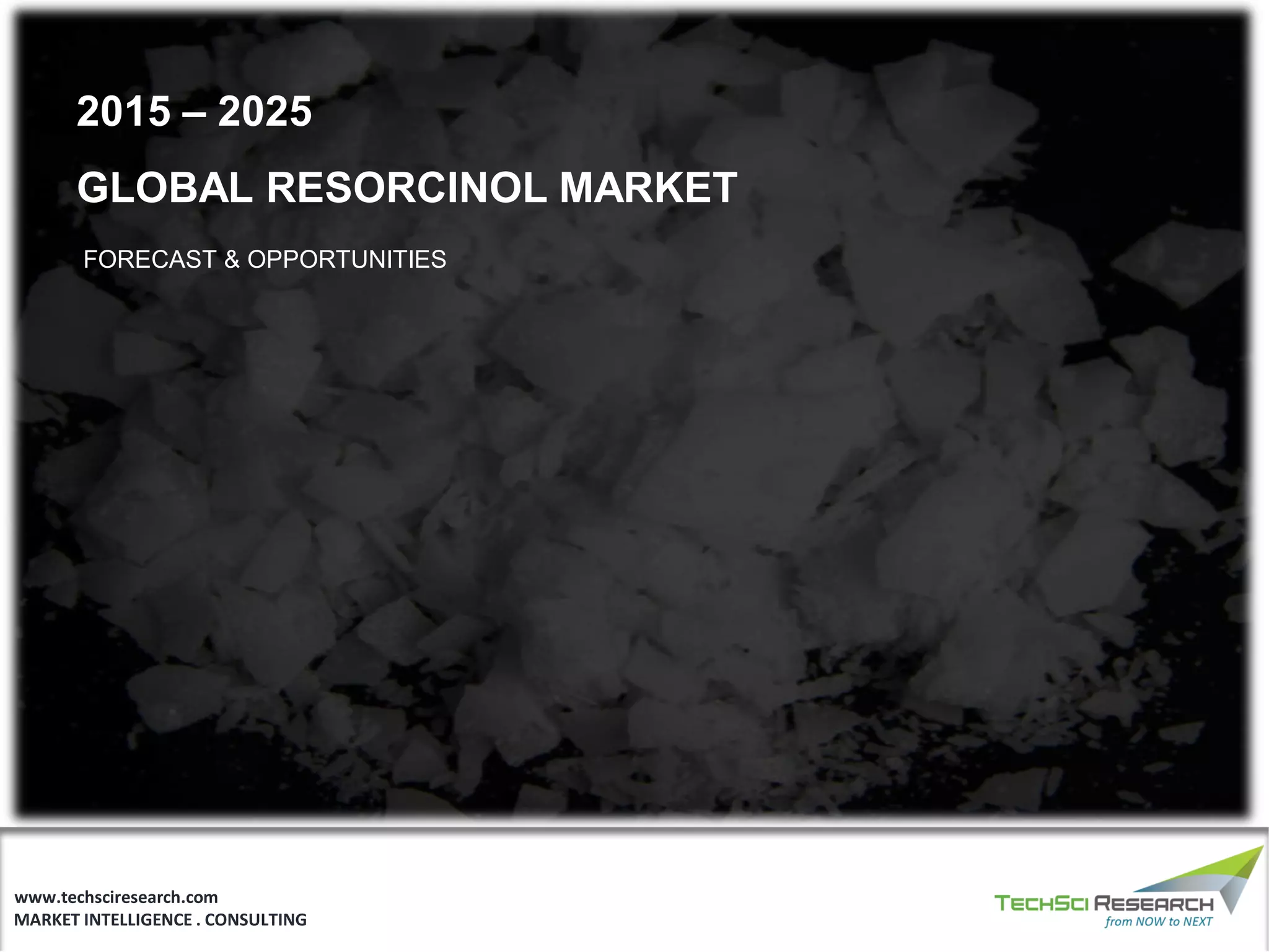 Resorcinol Market Share, 2025 PPT