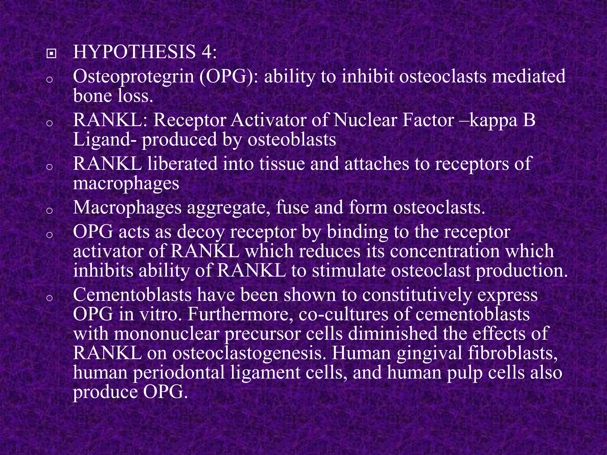  HYPOTHESIS 4:
o Osteoprotegrin (OPG): ability to inhibit osteoclasts mediated
bone loss.
o RANKL: Receptor Activator of Nuclear Factor –kappa B
Ligand- produced by osteoblasts
o RANKL liberated into tissue and attaches to receptors of
macrophages
o Macrophages aggregate, fuse and form osteoclasts.
o OPG acts as decoy receptor by binding to the receptor
activator of RANKL which reduces its concentration which
inhibits ability of RANKL to stimulate osteoclast production.
o Cementoblasts have been shown to constitutively express
OPG in vitro. Furthermore, co-cultures of cementoblasts
with mononuclear precursor cells diminished the effects of
RANKL on osteoclastogenesis. Human gingival fibroblasts,
human periodontal ligament cells, and human pulp cells also
produce OPG.
 