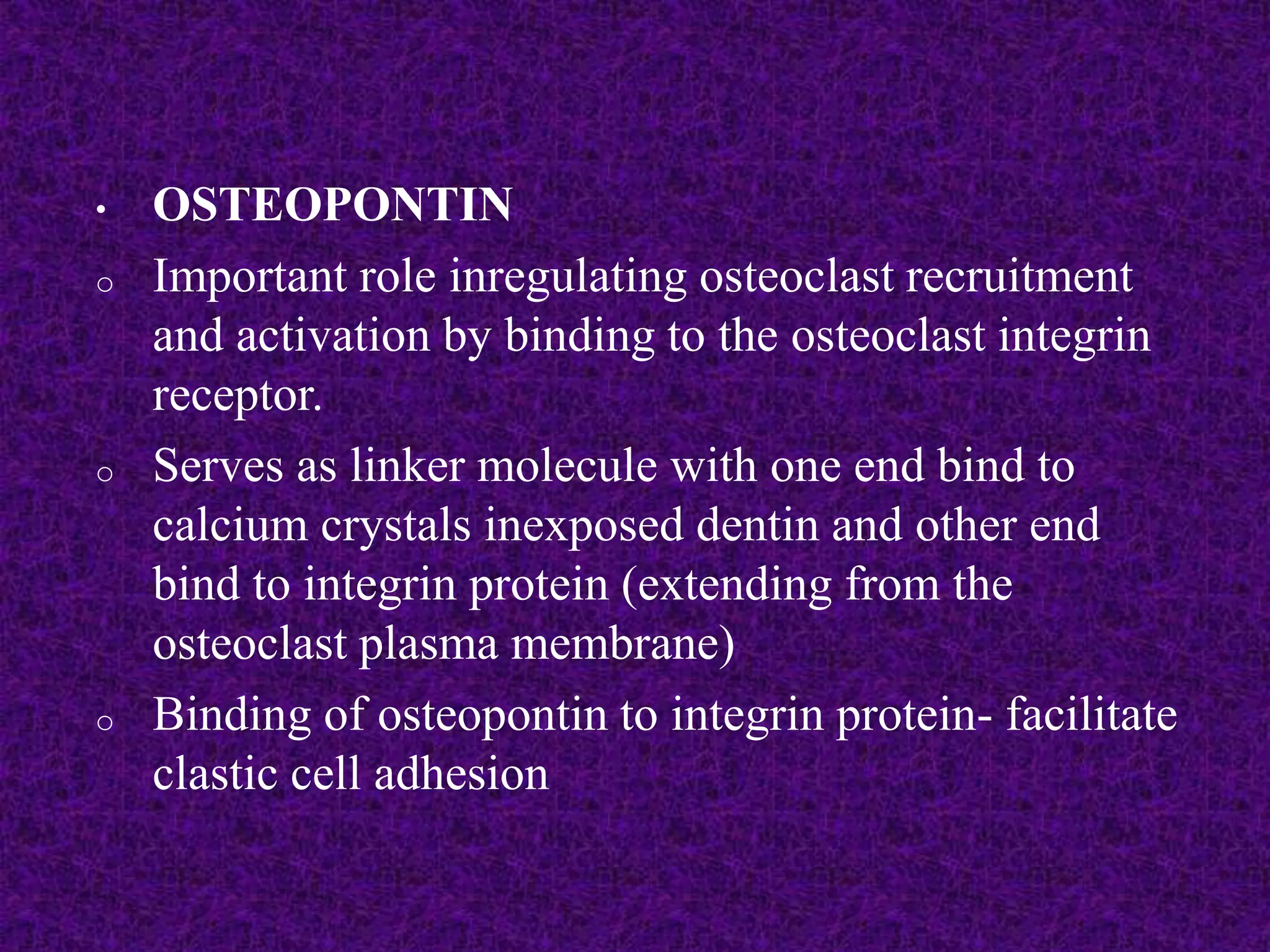 • OSTEOPONTIN
o Important role inregulating osteoclast recruitment
and activation by binding to the osteoclast integrin
receptor.
o Serves as linker molecule with one end bind to
calcium crystals inexposed dentin and other end
bind to integrin protein (extending from the
osteoclast plasma membrane)
o Binding of osteopontin to integrin protein- facilitate
clastic cell adhesion
 