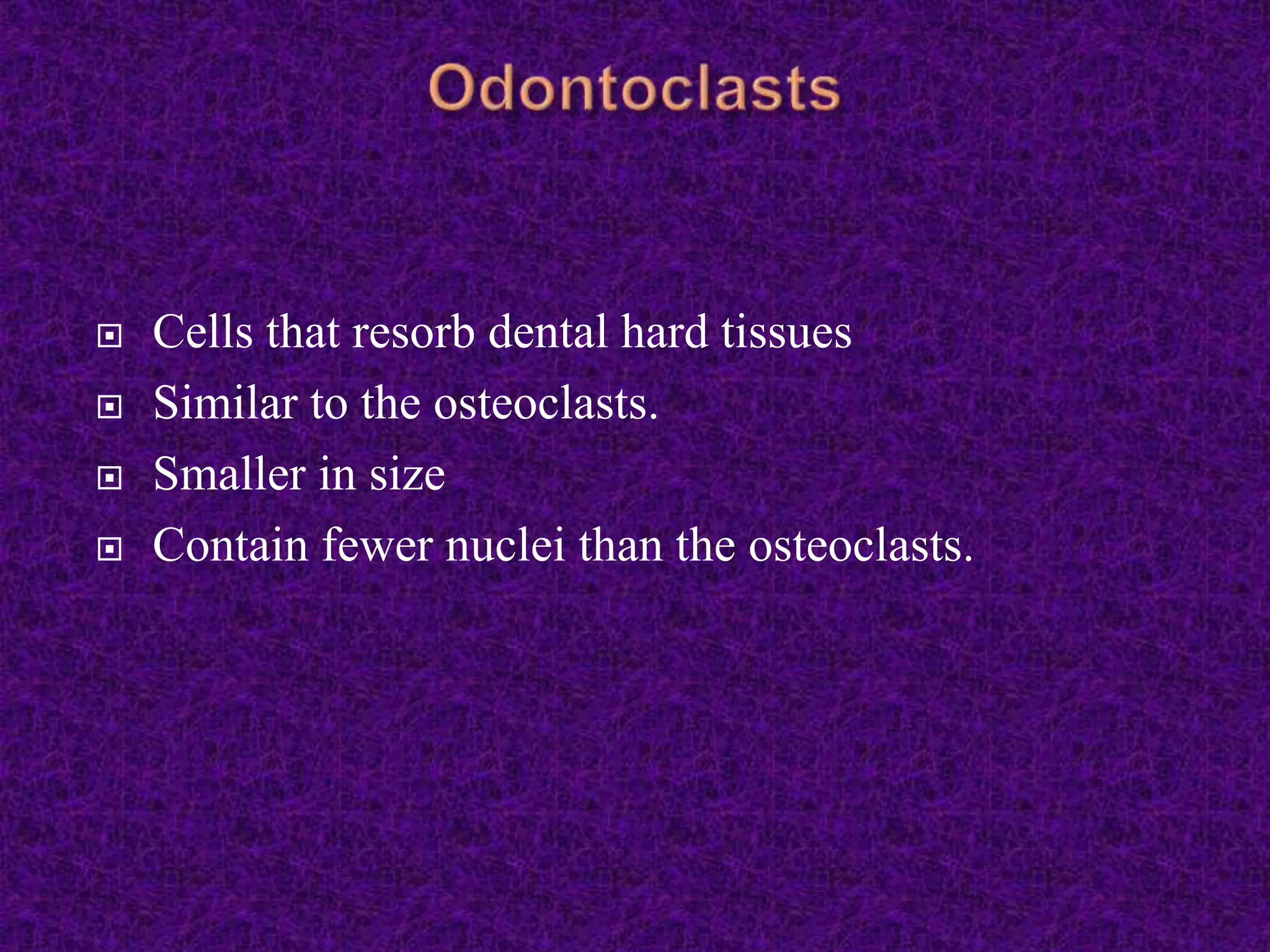  Cells that resorb dental hard tissues
 Similar to the osteoclasts.
 Smaller in size
 Contain fewer nuclei than the osteoclasts.
 