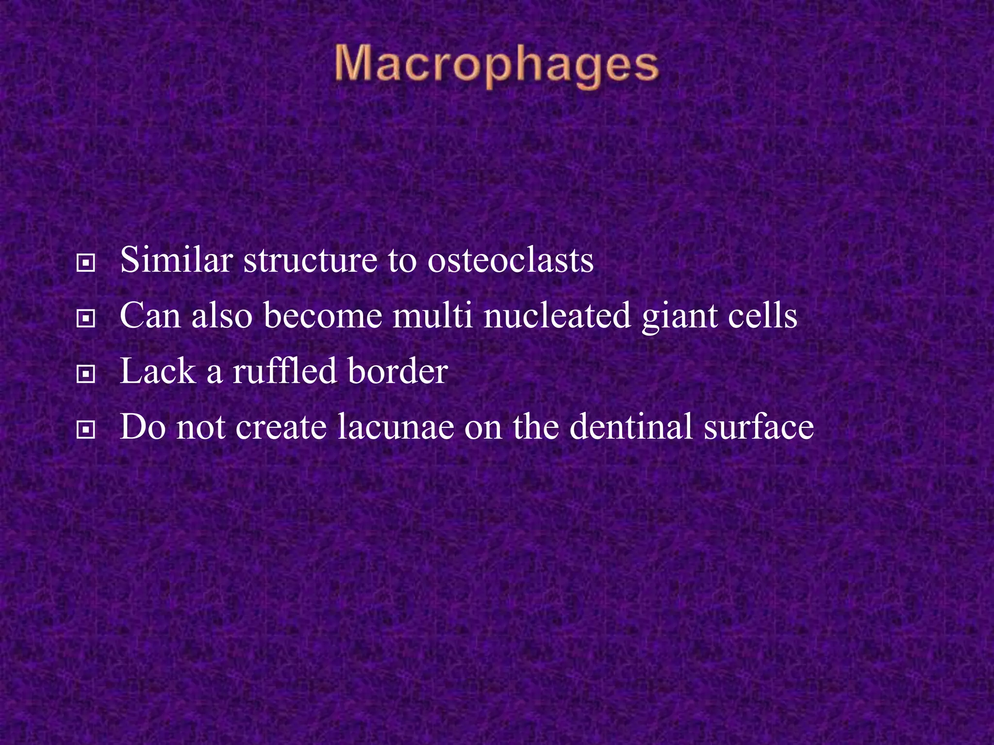  Similar structure to osteoclasts
 Can also become multi nucleated giant cells
 Lack a ruffled border
 Do not create lacunae on the dentinal surface
 