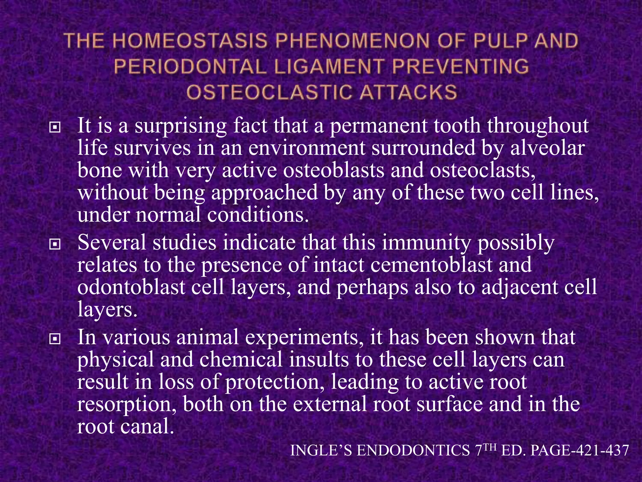  It is a surprising fact that a permanent tooth throughout
life survives in an environment surrounded by alveolar
bone with very active osteoblasts and osteoclasts,
without being approached by any of these two cell lines,
under normal conditions.
 Several studies indicate that this immunity possibly
relates to the presence of intact cementoblast and
odontoblast cell layers, and perhaps also to adjacent cell
layers.
 In various animal experiments, it has been shown that
physical and chemical insults to these cell layers can
result in loss of protection, leading to active root
resorption, both on the external root surface and in the
root canal.
INGLE’S ENDODONTICS 7TH ED. PAGE-421-437
 