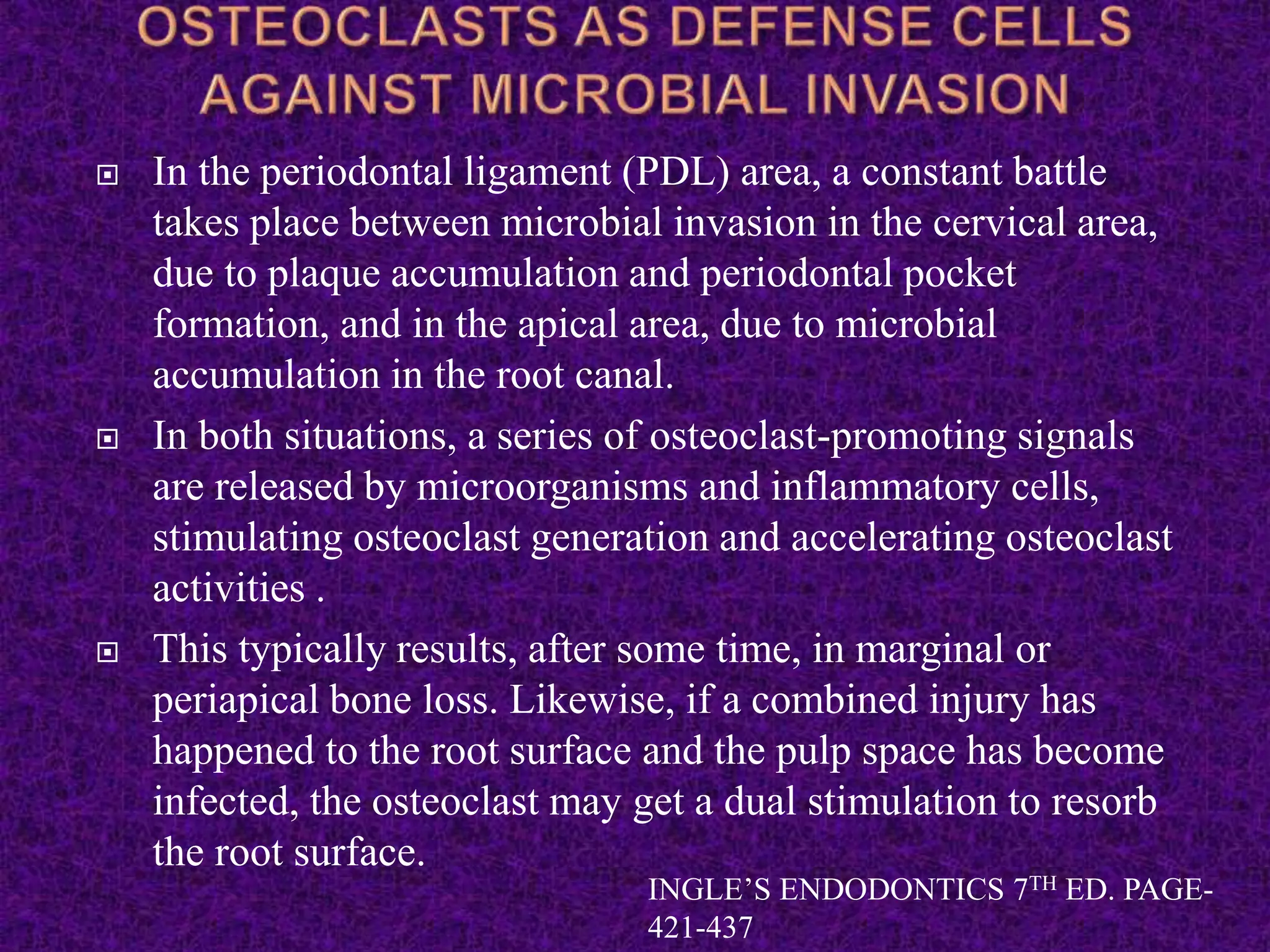  In the periodontal ligament (PDL) area, a constant battle
takes place between microbial invasion in the cervical area,
due to plaque accumulation and periodontal pocket
formation, and in the apical area, due to microbial
accumulation in the root canal.
 In both situations, a series of osteoclast-promoting signals
are released by microorganisms and inflammatory cells,
stimulating osteoclast generation and accelerating osteoclast
activities .
 This typically results, after some time, in marginal or
periapical bone loss. Likewise, if a combined injury has
happened to the root surface and the pulp space has become
infected, the osteoclast may get a dual stimulation to resorb
the root surface.
INGLE’S ENDODONTICS 7TH ED. PAGE-
421-437
 