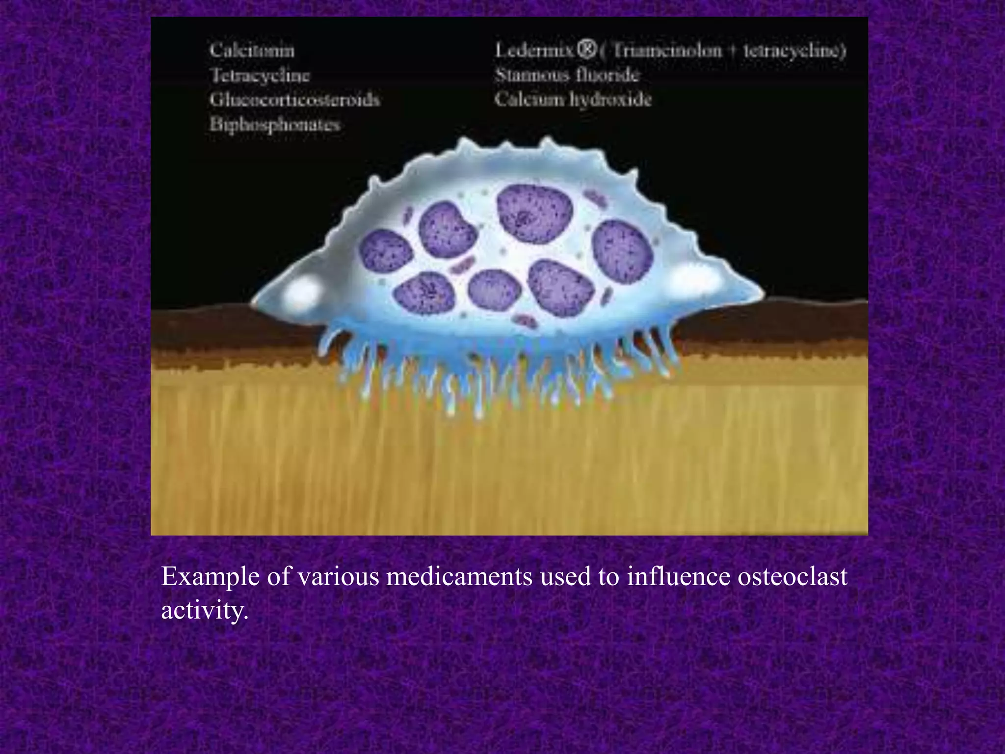 Example of various medicaments used to influence osteoclast
activity.
 