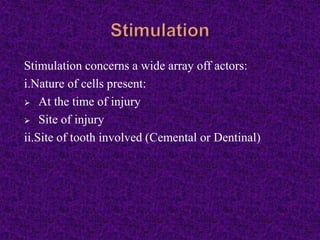 Stimulation concerns a wide array off actors:
i.Nature of cells present:
 At the time of injury
 Site of injury
ii.Site of tooth involved (Cemental or Dentinal)
 