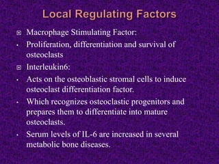  Macrophage Stimulating Factor:
• Proliferation, differentiation and survival of
osteoclasts
 Interleukin6:
• Acts on the osteoblastic stromal cells to induce
osteoclast differentiation factor.
• Which recognizes osteoclastic progenitors and
prepares them to differentiate into mature
osteoclasts.
• Serum levels of IL-6 are increased in several
metabolic bone diseases.
 
