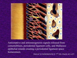 Antisorptive and antiosteogenesis signals released from
cementoblasts, periodontal ligament cells, and Mallassez
epithelial islands creating a periodontal ligament space
homeostasis.
INGLE’S ENDODONTICS 7TH ED. PAGE-421-437
 