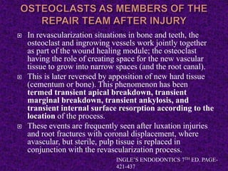  In revascularization situations in bone and teeth, the
osteoclast and ingrowing vessels work jointly together
as part of the wound healing module; the osteoclast
having the role of creating space for the new vascular
tissue to grow into narrow spaces (and the root canal).
 This is later reversed by apposition of new hard tissue
(cementum or bone). This phenomenon has been
termed transient apical breakdown, transient
marginal breakdown, transient ankylosis, and
transient internal surface resorption according to the
location of the process.
 These events are frequently seen after luxation injuries
and root fractures with coronal displacement, where
avascular, but sterile, pulp tissue is replaced in
conjunction with the revascularization process.
INGLE’S ENDODONTICS 7TH ED. PAGE-
421-437
 
