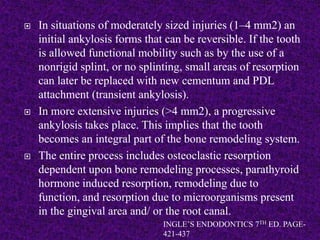  In situations of moderately sized injuries (1–4 mm2) an
initial ankylosis forms that can be reversible. If the tooth
is allowed functional mobility such as by the use of a
nonrigid splint, or no splinting, small areas of resorption
can later be replaced with new cementum and PDL
attachment (transient ankylosis).
 In more extensive injuries (>4 mm2), a progressive
ankylosis takes place. This implies that the tooth
becomes an integral part of the bone remodeling system.
 The entire process includes osteoclastic resorption
dependent upon bone remodeling processes, parathyroid
hormone induced resorption, remodeling due to
function, and resorption due to microorganisms present
in the gingival area and/ or the root canal.
INGLE’S ENDODONTICS 7TH ED. PAGE-
421-437
 
