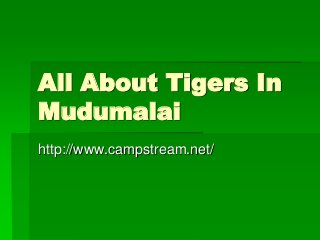 All About Tigers In
Mudumalai
http://www.campstream.net/

 