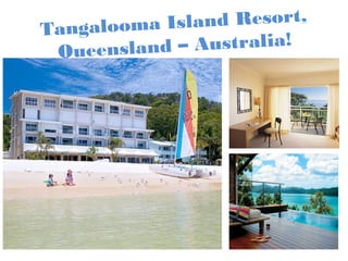 Tangalooma Island Resort,
Queensland – Australia!
 