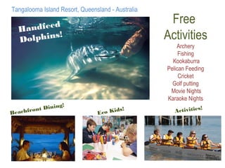 Free
Activities
Archery
Fishing
Kookaburra
Pelican Feeding
Cricket
Golf putting
Movie Nights
Karaoke Nights
Handfeed
Dolphins!
Beachfront Dining!
Eco Kids!
Tangalooma Island Resort, Queensland - Australia
Activities!
 