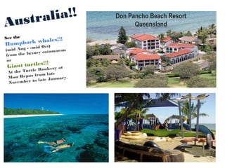 Don Pancho Beach Resort
Queensland
See the
Humpback whales!!!
(mid Aug - -mid Oct)
from the luxury catamaran
or
Giant turtles!!!
At the Turtle Rookery at
Mon Repos from late
November to late January.
Australia!!
 