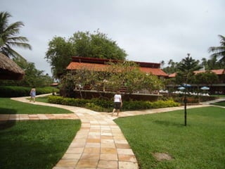 Esqueceram de
   mim 
 