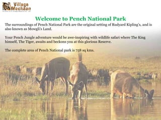 The land of Pench is home to a multitude of resorts and hotels that promise
a star gilded accommodation for the travelers and tour enthusiasts. Since
the land is visited by an array of foreigners and Indian travelers, the hotels
have lined up numerous world-class facilities in their catalogue. When it
comes to customer-friendliness and satisfaction, V-Village resorts leaves no
stone unturned. We at Village Machaan promise our guests a memorable
stay which includes all of Natures endless bounty, Tiger Jungle Safari, Bird
watching, Night Safari in Buffer Zone, Glorious Sun Rise and Sun set and an
adventure of a Lifetime.. So Come and enjoy what Pench and The Machaan
Village Resorts has to offer our esteemed guests.
Kindly do not forget our iconic ‘TIGER’.
Pench National Park - Where Man Meets Beast
The surroundings of Pench National Park are the original setting of Rudyard Kipling’s, and is
also known as Mowgli’s Land.
Your Pench Jungle adventure would be awe-inspiring with wildlife safari where The King
himself, The Tiger, awaits and beckons you at this glorious Reserve.
The complete area of Pench National park is 758 sq kms.
Welcome to Pench National Park
 