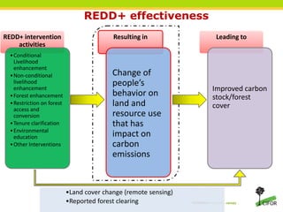 Local peoples’ perspectives on the effectiveness of REDD+ in changing land use behaviors