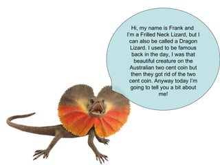 Hi, my name is Frank and  I’m a Frilled Neck Lizard, but I can also be called a Dragon Lizard. I used to be famous back in the day, I was that beautiful creature on the Australian two cent coin but then they got rid of the two cent coin. Anyway today I’m going to tell you a bit about me! 