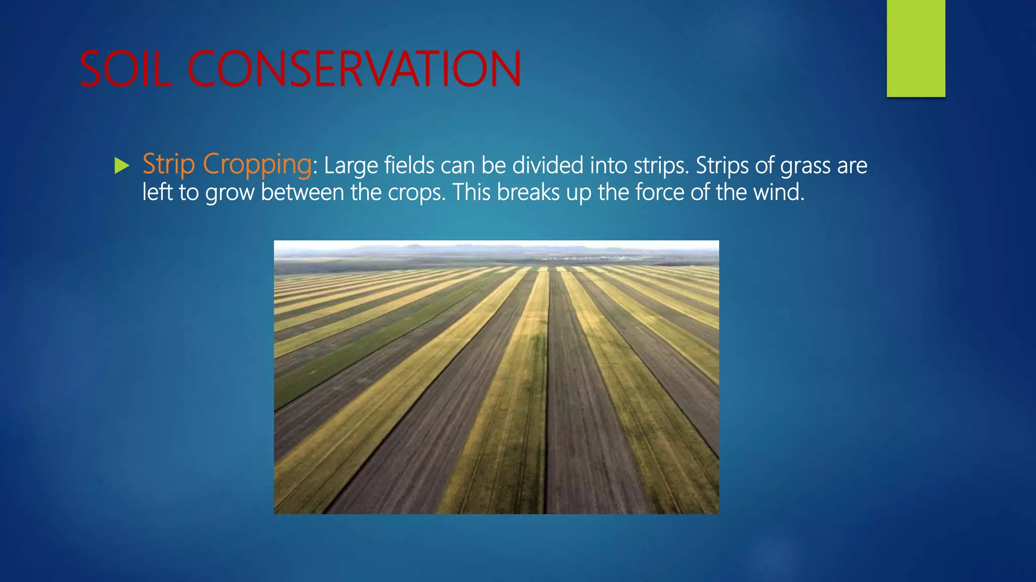 SOIL CONSERVATION
 Strip Cropping: Large fields can be divided into strips. Strips of grass are
left to grow between the crops. This breaks up the force of the wind.
 