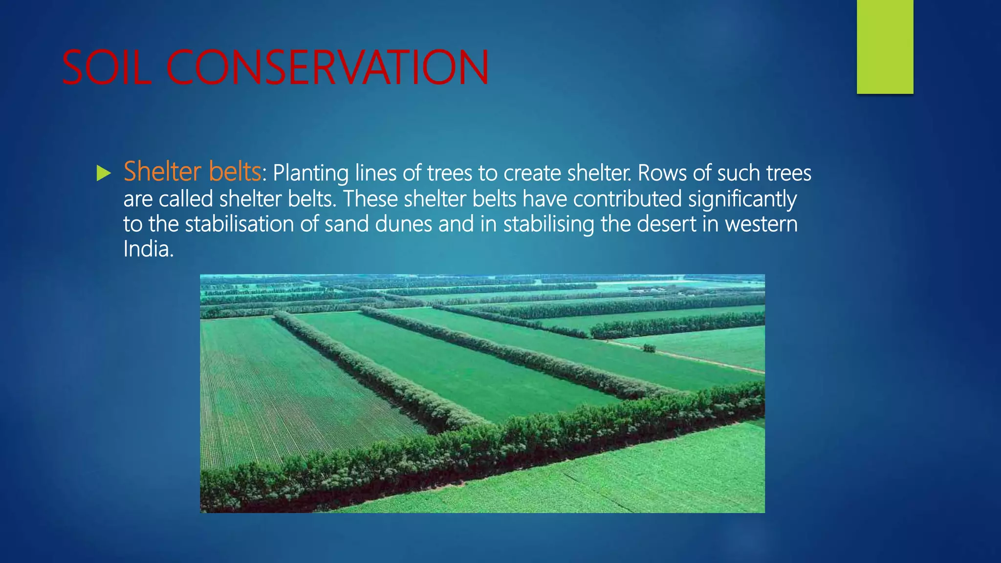 SOIL CONSERVATION
 Shelter belts: Planting lines of trees to create shelter. Rows of such trees
are called shelter belts. These shelter belts have contributed significantly
to the stabilisation of sand dunes and in stabilising the desert in western
India.
 