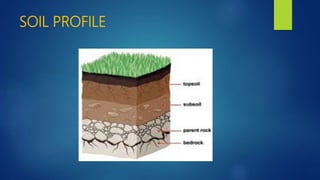 SOIL PROFILE
 