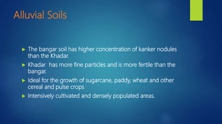 Alluvial Soils
 The bangar soil has higher concentration of kanker nodules
than the Khadar.
 Khadar has more fine particles and is more fertile than the
bangar.
 Ideal for the growth of sugarcane, paddy, wheat and other
cereal and pulse crops
 Intensively cultivated and densely populated areas.
 