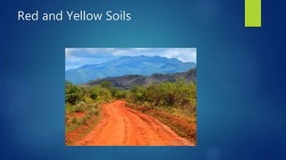 Red and Yellow Soils
 