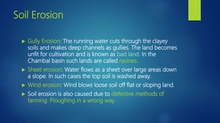 Soil Erosion
 Gully Erosion: The running water cuts through the clayey
soils and makes deep channels as gullies. The land becomes
unfit for cultivation and is known as bad land. In the
Chambal basin such lands are called ravines.
 Sheet erosion: Water flows as a sheet over large areas down
a slope. In such cases the top soil is washed away.
 Wind erosion: Wind blows loose soil off flat or sloping land.
 Soil erosion is also caused due to defective methods of
farming. Ploughing in a wrong way.
 