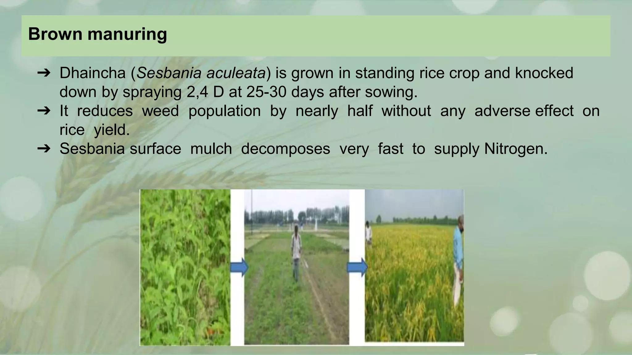 Beushening In Rice Resource conservation techniques_in_rice_wheat_cropping_system | PPTX