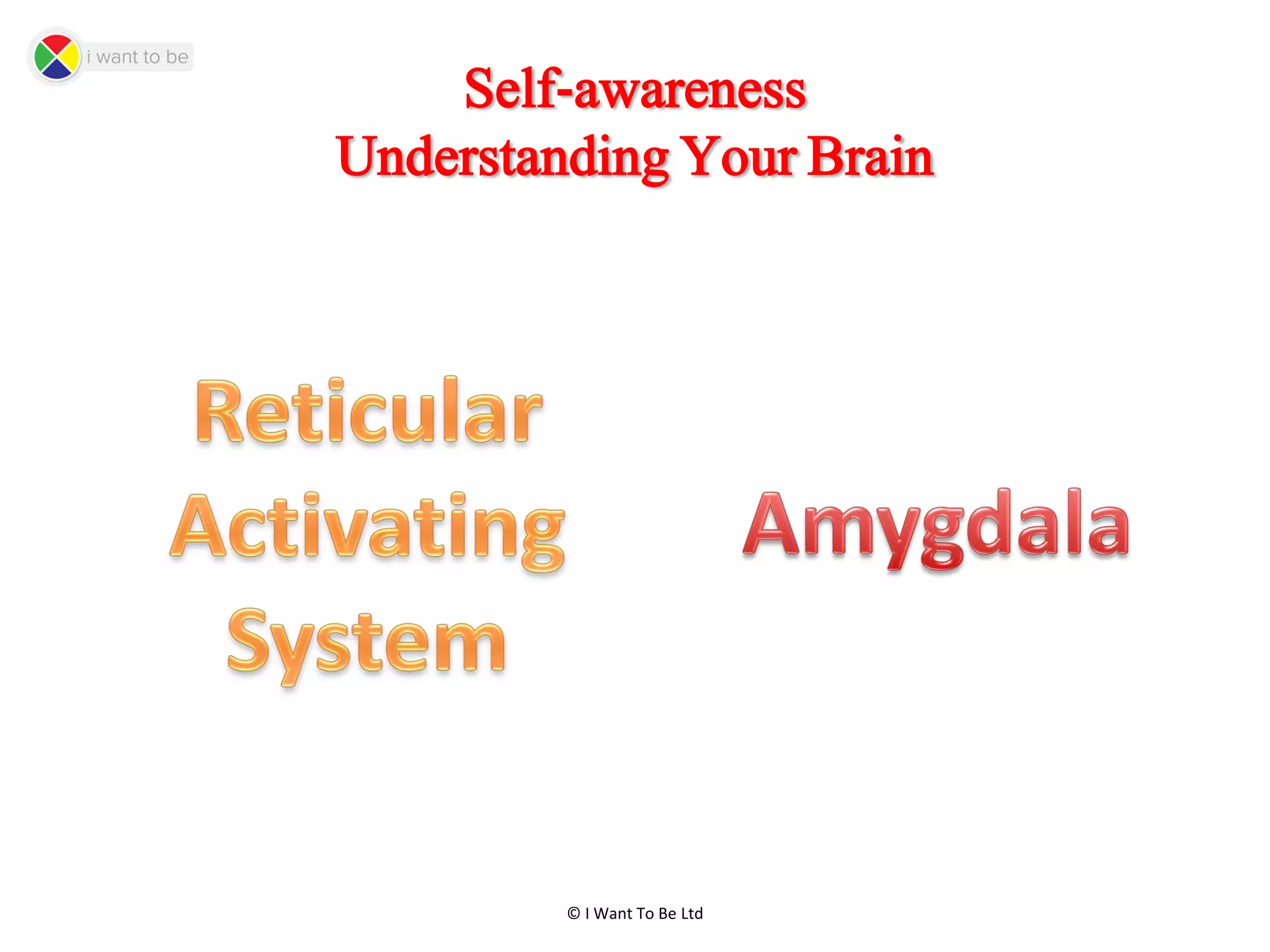 © I Want To Be Ltd
Self-awareness
Understanding Your Brain
 