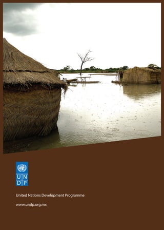 United Nations Development Programme 
www.undp.org.mx 