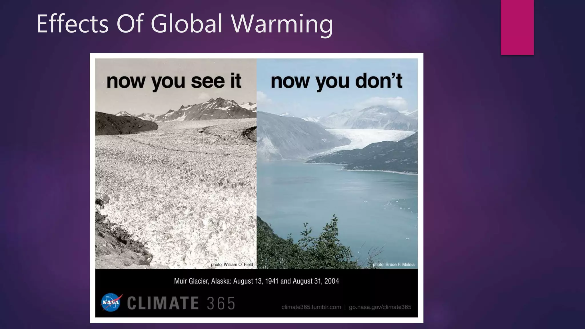 Effects Of Global Warming
 