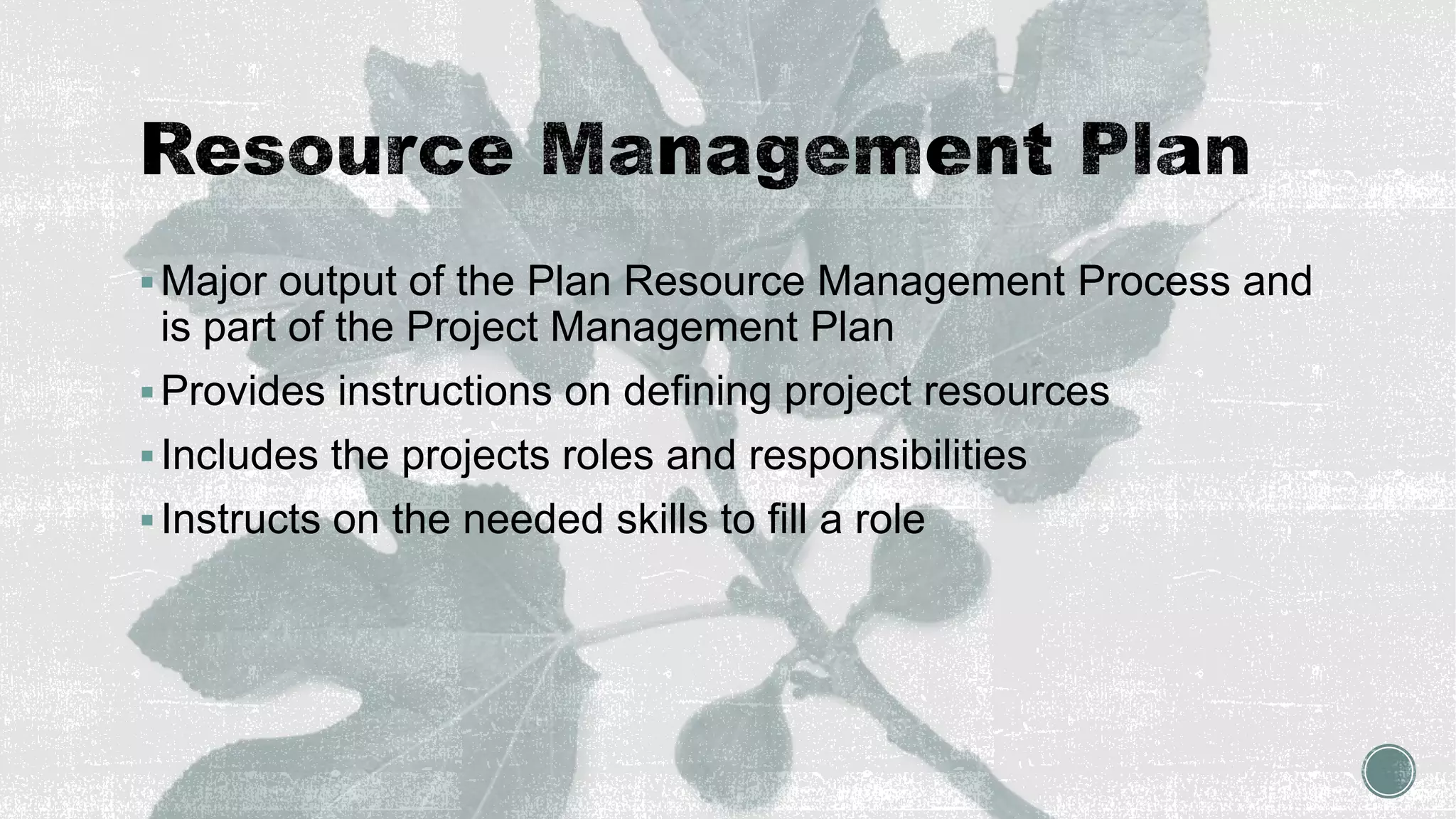 Major output of the Plan Resource Management Process and
is part of the Project Management Plan
Provides instructions on defining project resources
Includes the projects roles and responsibilities
Instructs on the needed skills to fill a role
 