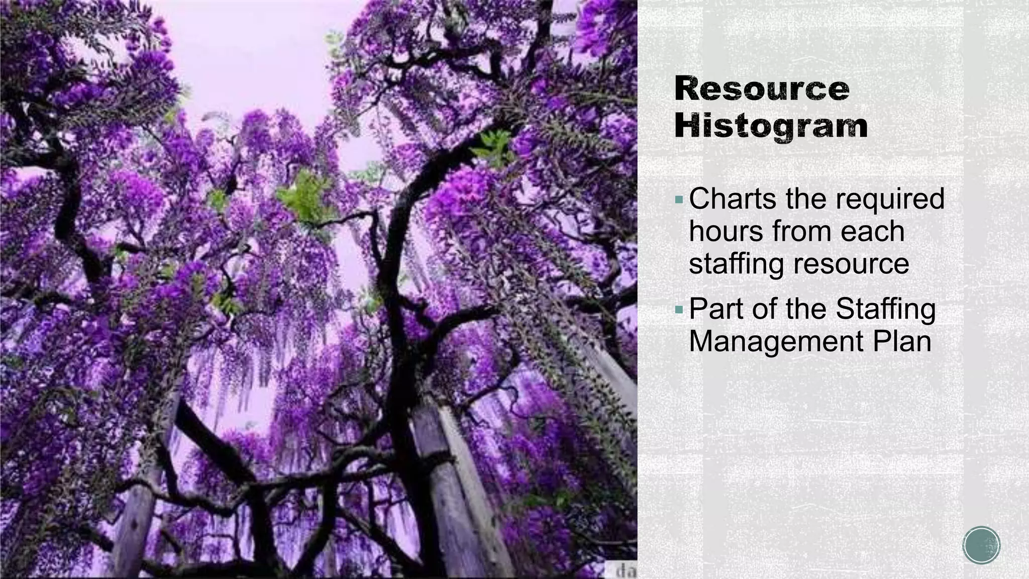 Charts the required
hours from each
staffing resource
Part of the Staffing
Management Plan
 