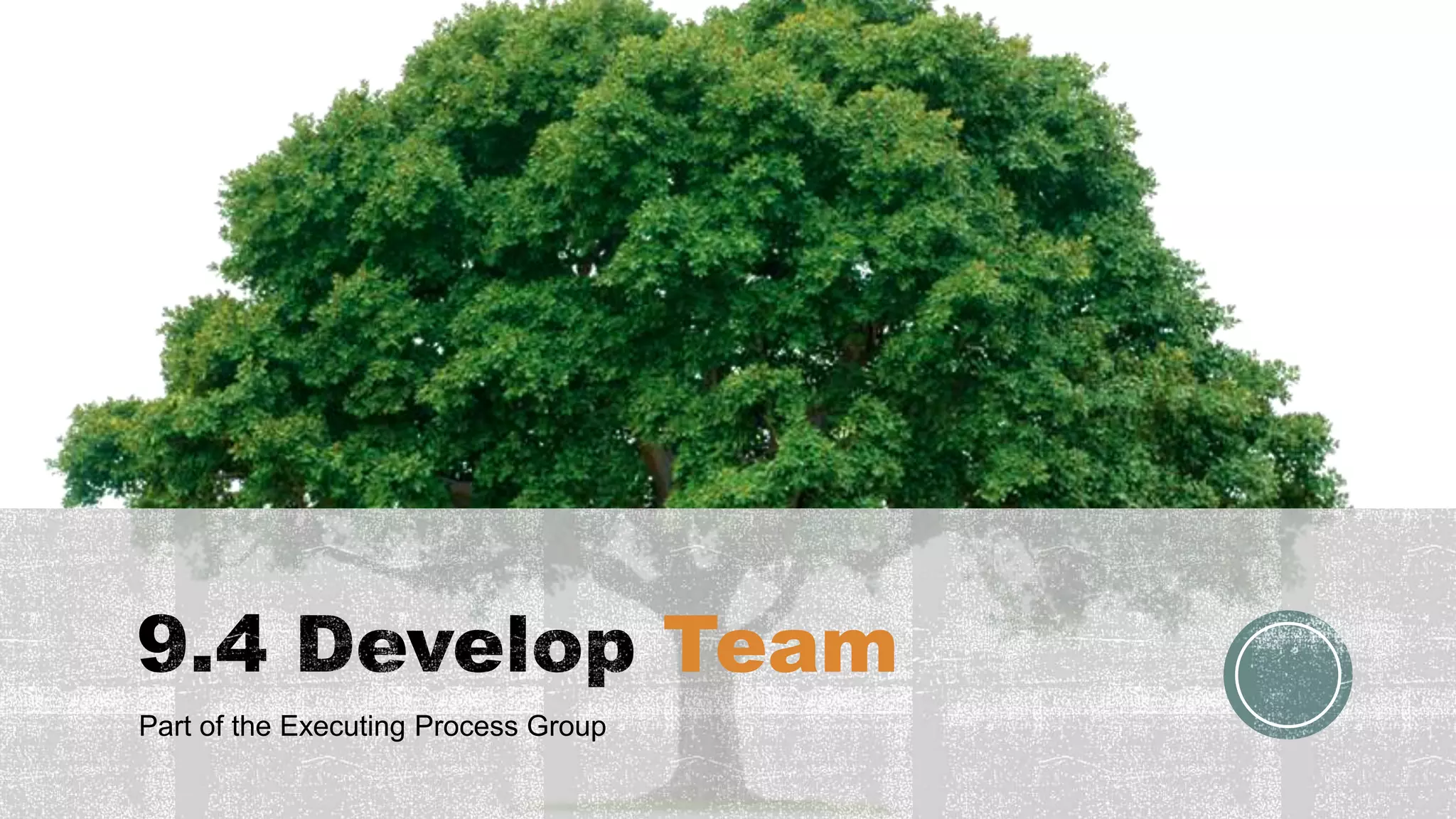 Team
Part of the Executing Process Group
 