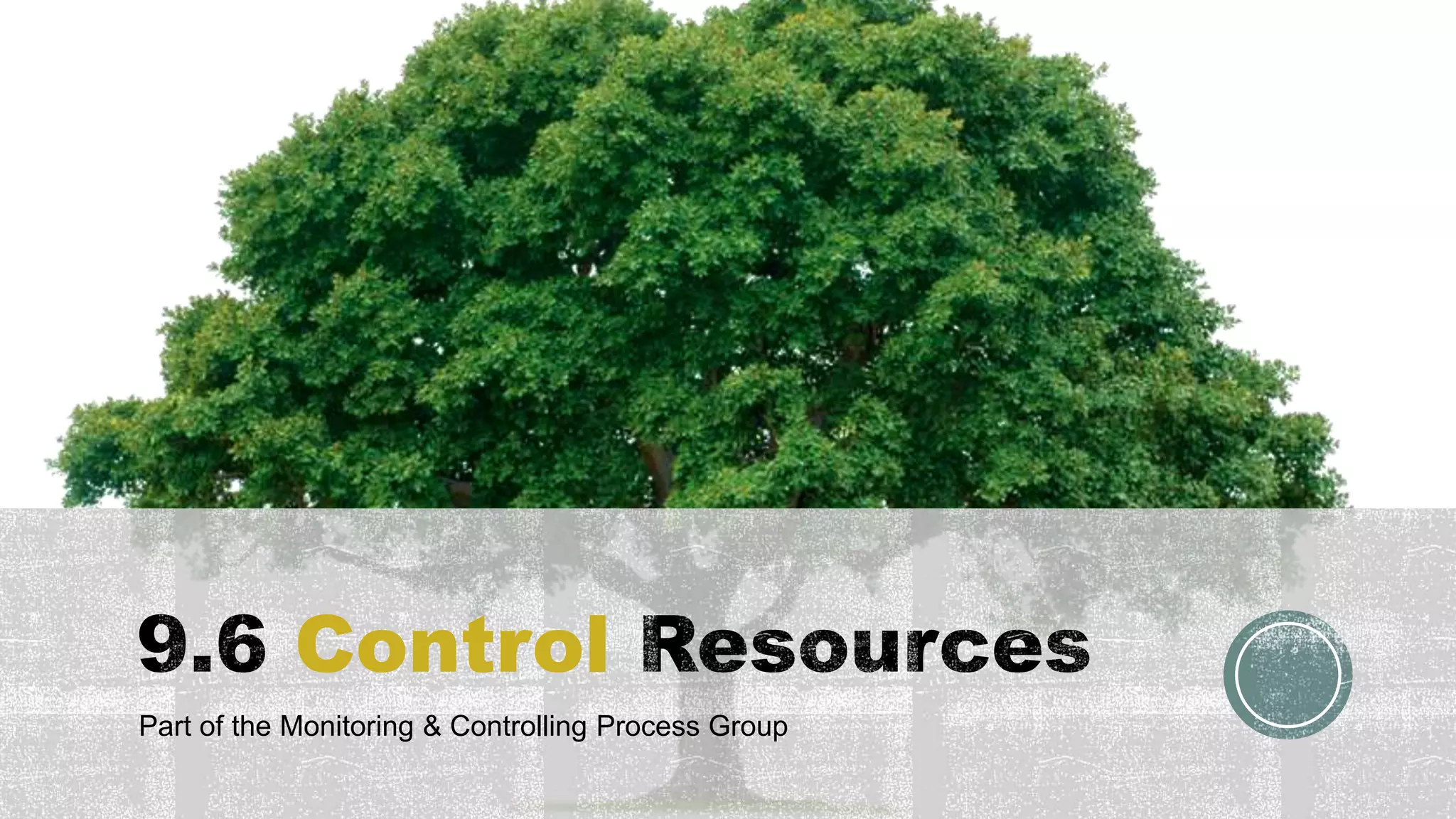 Control
Part of the Monitoring & Controlling Process Group
 