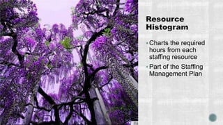 Charts the required
hours from each
staffing resource
Part of the Staffing
Management Plan
 