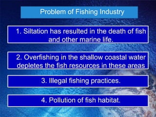 	Problem of Fishing Industry	1.Siltation has resulted in the death of fish and other marine life.	2.Overfishing in the shallow coastal water depletes the fish resources in these areas .	3.Illegal fishing practices.	4. Pollution of fish habitat.
