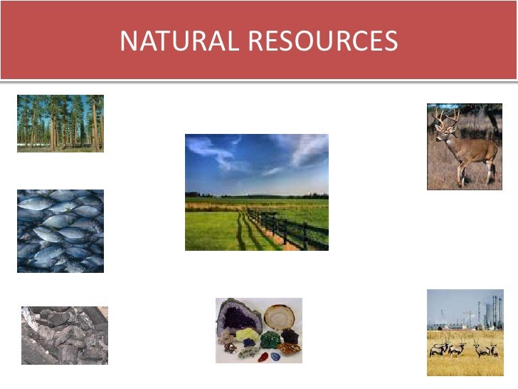 Conservation of natural resources essay