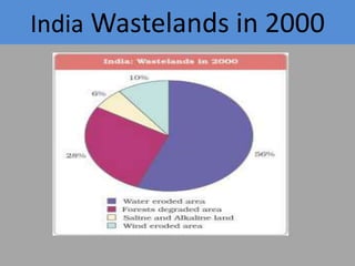 India Wastelands in 2000

 