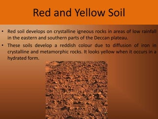 Red and Yellow Soil
• Red soil develops on crystalline igneous rocks in areas of low rainfall
in the eastern and southern parts of the Deccan plateau.
• These soils develop a reddish colour due to diffusion of iron in
crystalline and metamorphic rocks. It looks yellow when it occurs in a
hydrated form.

 