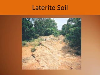Laterite Soil

 