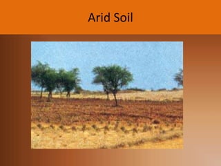 Arid Soil

 