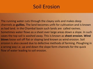 Soil Erosion
The running water cuts through the clayey soils and makes deep
channels as gullies. The land becomes unfit for cultivation and is known
as bad land. In the Chambal basin such lands are called ravines.
Sometimes water flows as a sheet over large areas down a slope. In such
cases the top soil is washed away. This is known as sheet erosion. Wind
blows loose soil off flat or sloping land known as wind erosion. Soil
erosion is also caused due to defective methods of farming. Ploughing in
a wrong way i.e. up and down the slope form channels for the quick
flow of water leading to soil erosion.

 