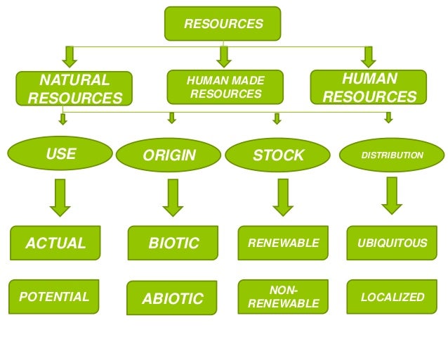 Which Product Is Often Derived From The Natural Environment Which Product Is Often Derived From The Natural Environment