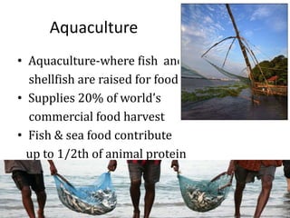 Aquaculture
• Aquaculture-where fish and
shellfish are raised for food
• Supplies 20% of world’s
commercial food harvest
• Fish & sea food contribute
up to 1/2th of animal protein
 